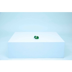 Klocki LEGO 31377 Żółw i Kwiat Lilii Wodnej CREATOR